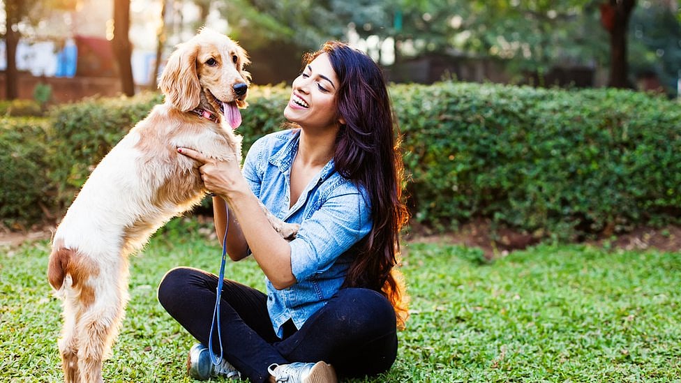 பூங்காவுக்குள் நாய்கள் அழைத்து வர கட்டுப்பாடு! – சென்னை மாநகராட்சி