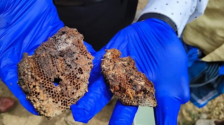 பொதுக் கிணற்றில் மனித கழிவு கலப்பா...? விழுப்புரம் மாவட்ட ஆட்சியர் விளக்கம்!