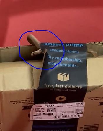 அமேசான் ஆர்டரில் நாக பாம்பு!