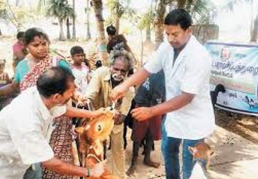 கால்நடை மருத்துவர்களுக்கு மட்டும் சம நீதி இல்லையா?