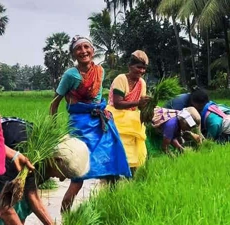 நெல் கொள்முதலை தமிழக நிறுவனத்திடமே ஒப்படைக்க வேண்டும்- விவசாயிகள்

