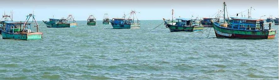 பாம்பன் மீனவர்கள் 14 பேர் கைது - வைகோ கண்டனம் 