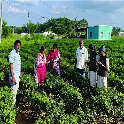 டிஜிட்டல் பயிர் சர்வே- பாம்பு, பூச்சி கடித்து மாணவிகள் மருத்துவமனையில் சேர்ப்பு ! 
