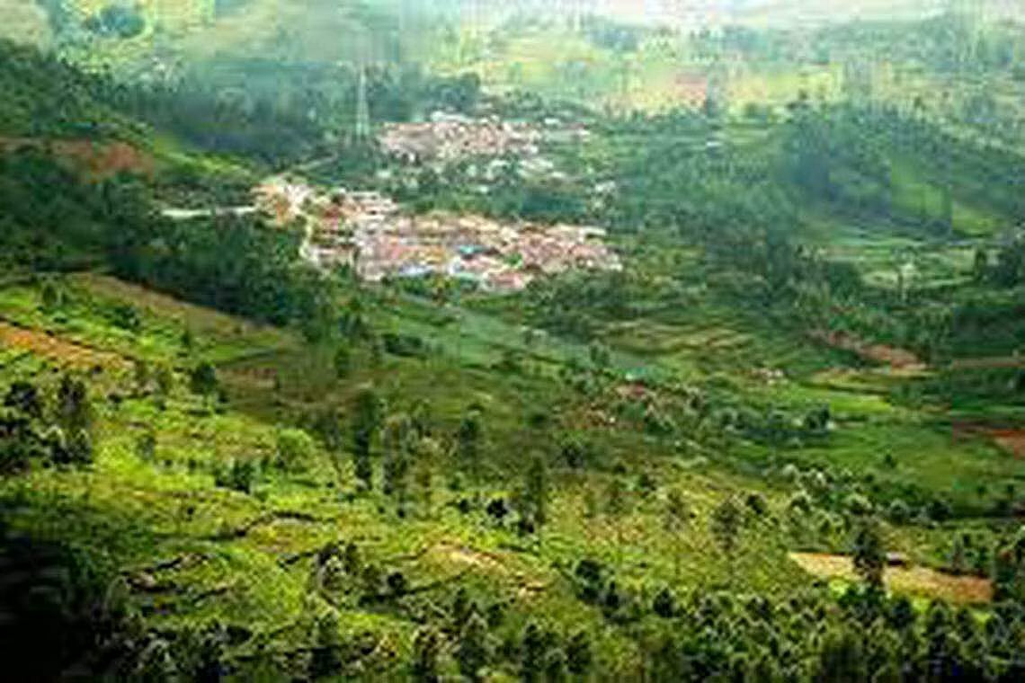 நீலகிரி விவசாய நிலங்களைப் பாதுகாக்க வேண்டும் - சீமான்