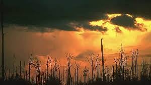 124 ஆண்டிகளில் இல்லாத வெப்பம்: வாட்டிய வெயிலுக்கு என்ன காரணம்?