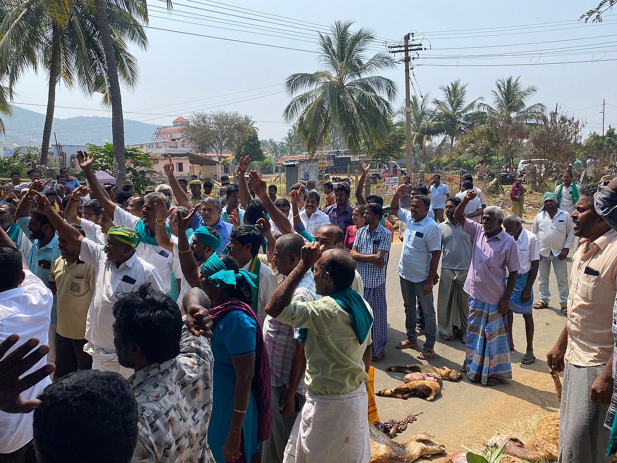 நாய்க்கடியால் 70 ஆடுகள் இறப்பு- போலீஸ் மீது பா.ஜ.க. குற்றச்சாட்டு!