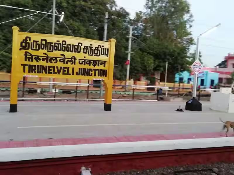 1,095 பேர் வன்கொடுமையால் பாதிப்பு- 5 ஆண்டுகளில் நெல்லையில்!