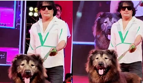 ரூ.50 கோடிக்கு நாய்: இன்ஸ்டா பதிவை நம்பி ரெய்டுக்கு போன அமலாக்கத்துறைக்கு நடந்தது என்ன? 