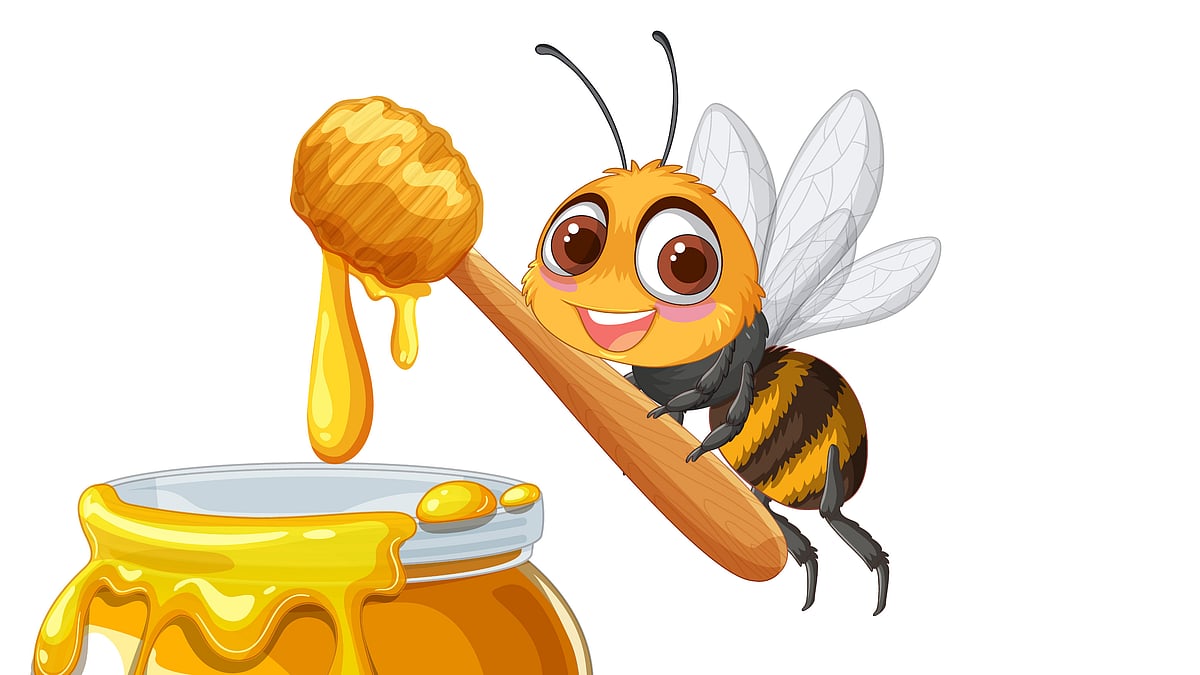 இங்கு தேனீக்கள் வாடகைக்குக் கிடைக்கும்!