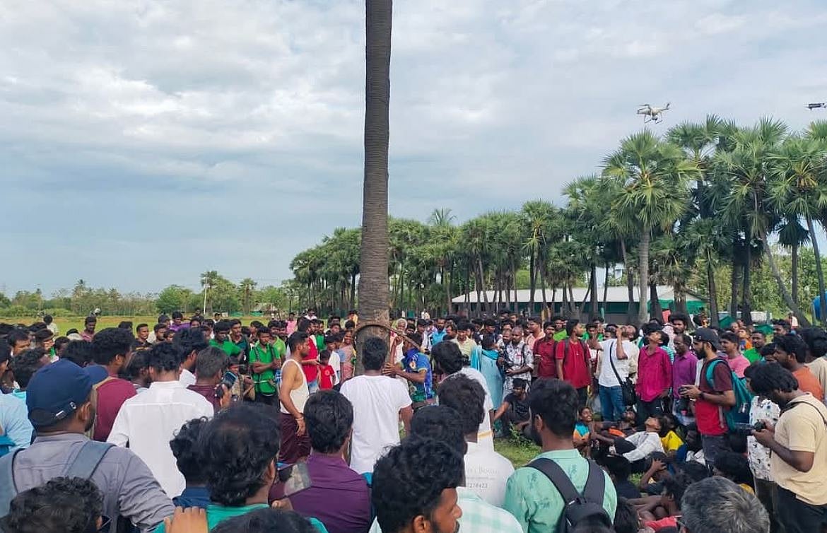  மின்னல் தாக்குதலில் இருந்து காக்கும் மரம்! அதிசயம் அல்ல; உண்மை!