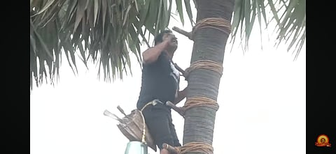 நாதக தலைவர் சீமான்