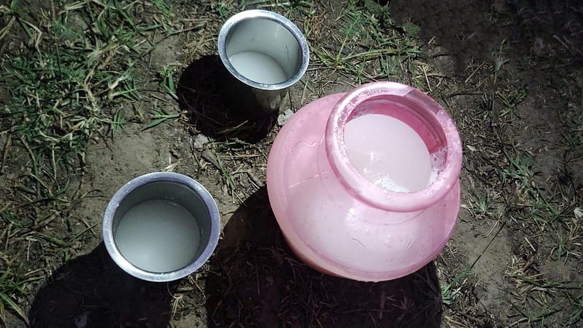 கள்ளில் கலப்படம் செய்தது பனையேறிகள் அல்ல - பனையேறி பாண்டியன் சிறப்புப் பேட்டி!