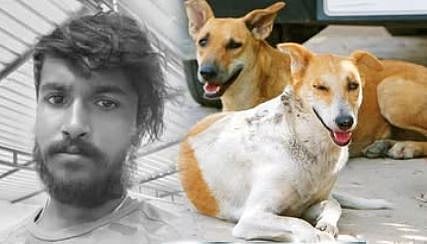 தெரு நாய் கடிபட்டவர் உயிரிழப்பு! 