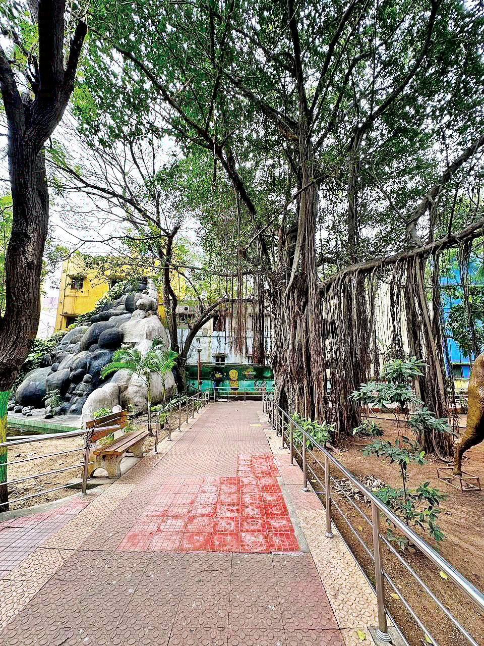 சிங்க நடை போட்டு...