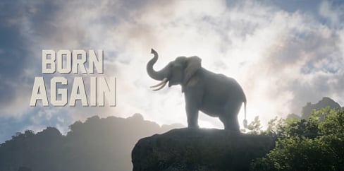 கும்கி -2 படத்தின் அறிவிப்பு வெளியானது!