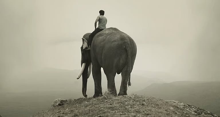 கும்கி - 2 படத்தின் கதாநாயகன் யார்?