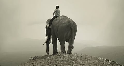 கும்கி 