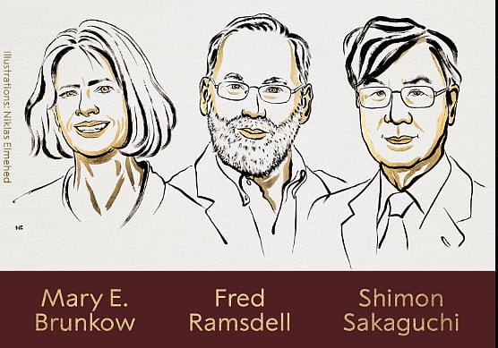 2025ஆம் ஆண்டுக்கான மருத்துவத் துறை நோபல் பரிசு 3 பேருக்கு பகிர்ந்தளிப்பு!