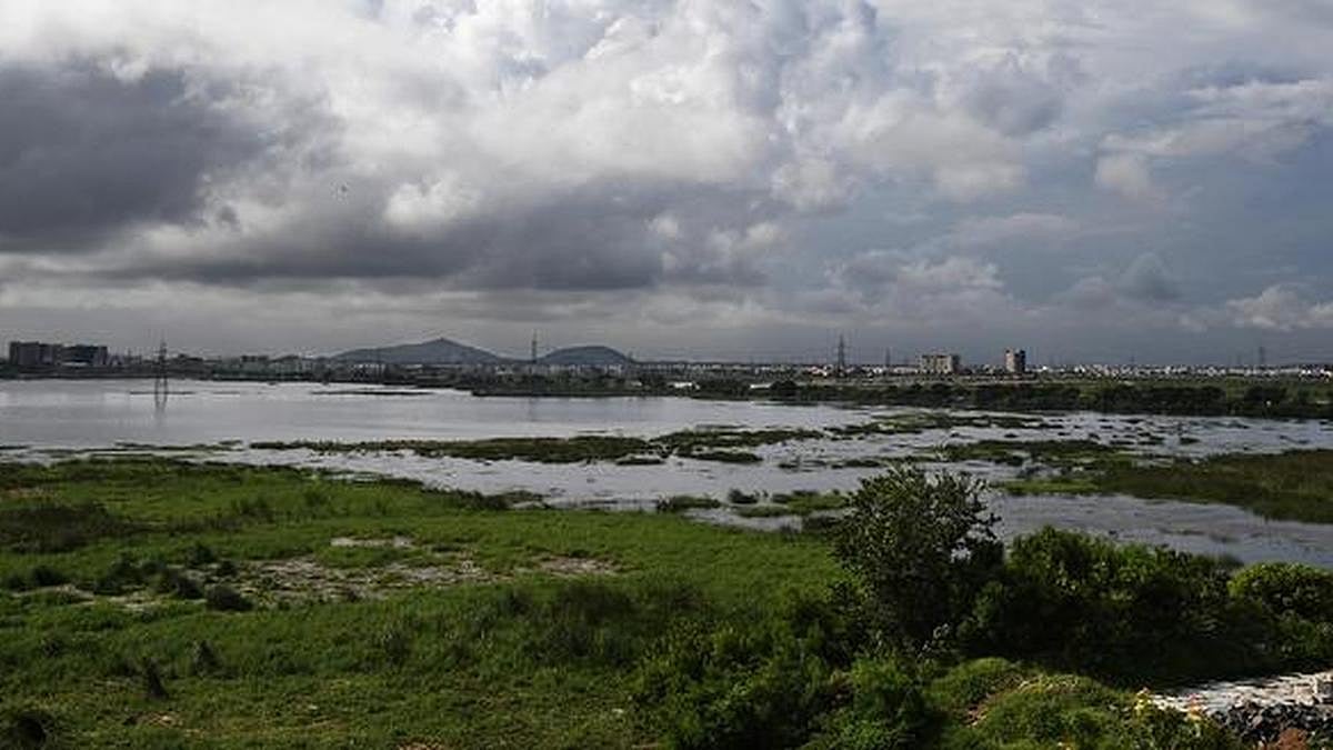 பள்ளிக்கரணை சதுப்பு நில குடியிருப்பு விவகாரம்: உயர்நீதிமன்றத்தில் அதிமுக வழக்கு!