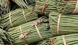 முருங்கை