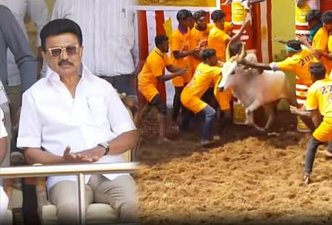 அலங்காநல்லூர் ஜல்லிக்கட்டில் முதல்வர் ஸ்டாலின் செய்த 2 அறிவிப்புகள்!