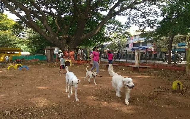 சென்னை, கோவையில் செல்லப்பிராணிகள் பூங்கா!