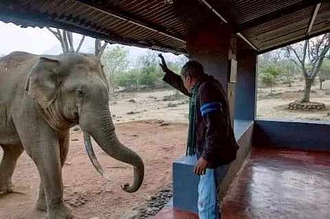 மார்க் டேவிதாருடன் ரிவால்டோ (பழைய படம்)