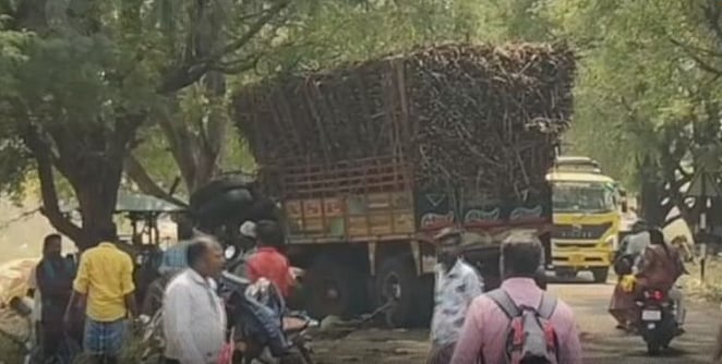 82 ஆடுகள் கொலை- போதை லாரி ஓட்டுநரால் கொடூரம்!