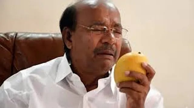மாம்பழம் சின்னத்தை முடக்கக் கோரிய ராமதாஸ் மனு தள்ளுபடி!