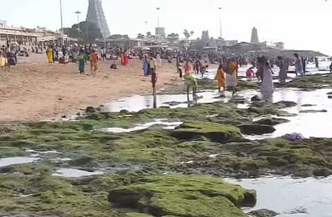 திருச்செந்தூர் உள்வாங்கிய கடல் 