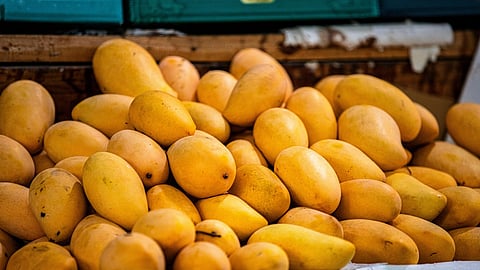 விற்பனைக்காக குவிக்கப்பட்டுள்ள மாம்பழங்கள்