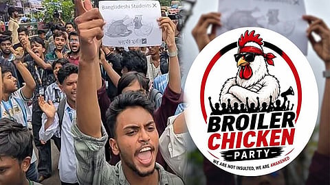 Broiler Chicken party