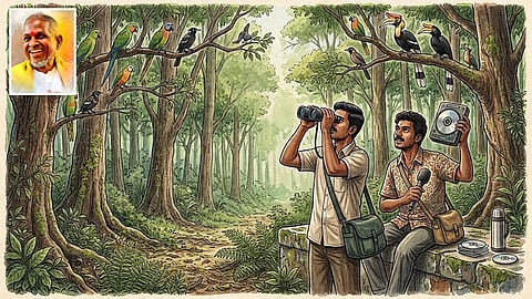 பறவையின் பாடல்