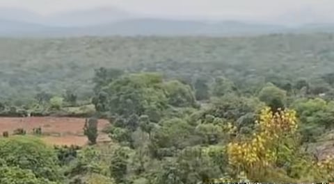 ஜவ்வாது மலை மக்களை மிரட்டி ரூ.1 கோடி லஞ்சம்- பிடிபட்ட 6 வன அதிகாரிகள்!