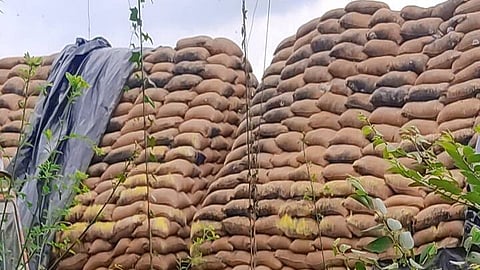 Need permanent warehouses to prevent Paddy damage in rain