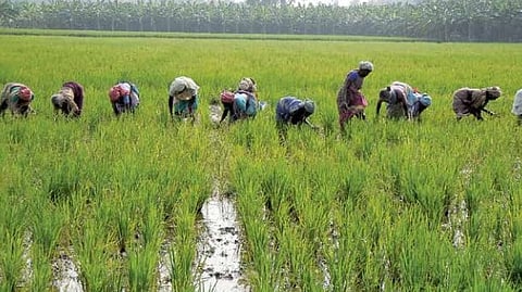 Production may get affected