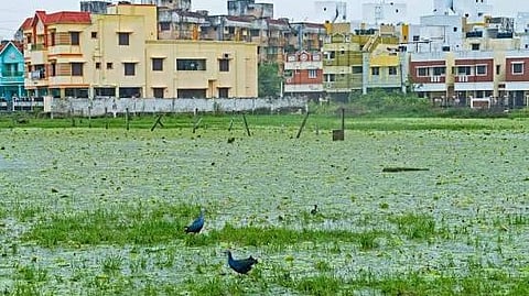 Pallikarani marshland 