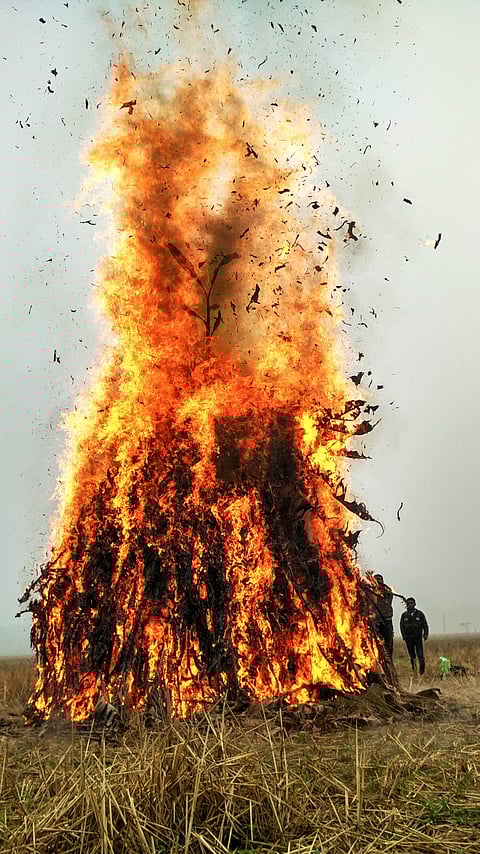 মাঘ বিহু বা ভোগালী বিহুৰ বিষয়ে ১১ টা আকৰ্ষণীয় তথ্য