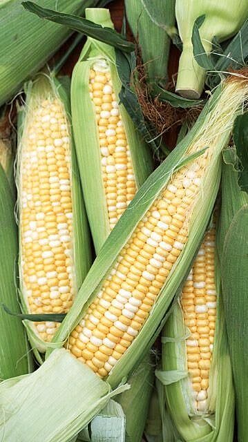 ইউক্ৰেইনৰ যুদ্ধৰ ফলত ভাৰতত অধিক ব্যয়বহুল হোৱা ৭ টা বস্তু