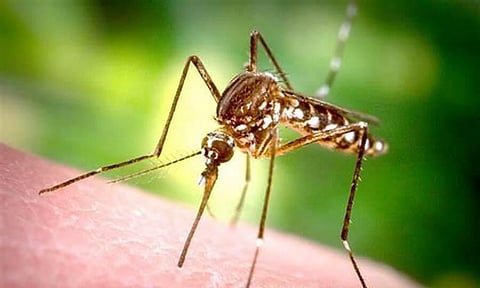 জিএমচিএইচত চিকিৎসাধীন ৯ জন জাপানী এনকেফেলাইটিছ ৰোগী