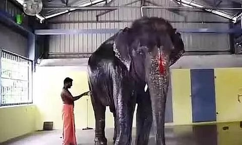 জয়মালাক অসমলৈ ঘূৰাই দিবলৈ অস্বীকাৰ কৰা সন্দৰ্ভত মাদ্ৰাজ উচ্চ ন্যায়ালয়ত অৱগত তামিলনাডুৱে