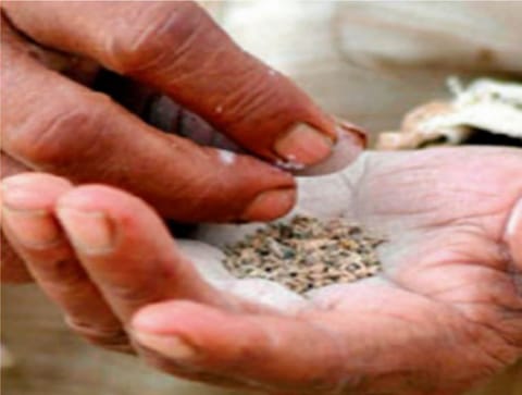 গুৱাহাটী ৰেলৱে ষ্টেচনত বৃহত্তৰ পৰিমাণৰ অবৈধ চুপাৰি জব্দ