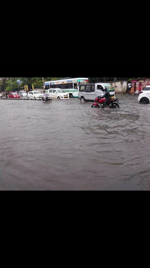 পুনৰ কৃত্ৰিম বানৰ কবলত মহানগৰবাসী