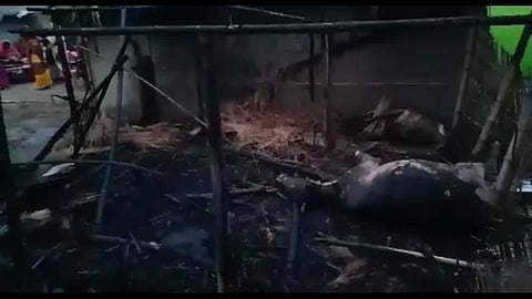 লংকাত  বিদ্যুৎ পৰিবাহী তাৰ চিঙি ভয়ংকৰ অগ্নিকাণ্ড