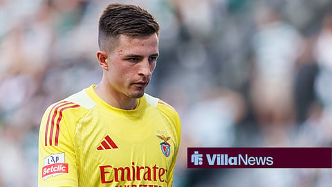 Anatoliy Trubin at Benfica