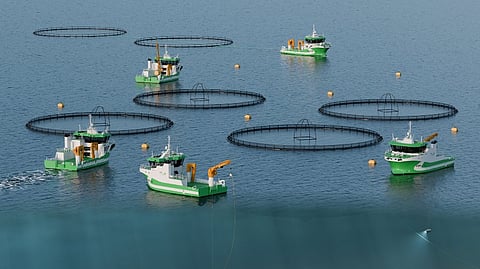 Aquaship/Intership acquires FSV Group to form world's second-largest aquaculture services group