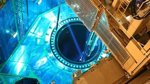 Nuclear reactor interior