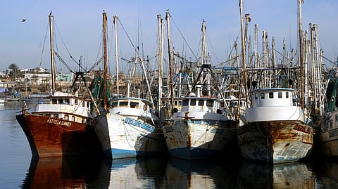 Fishing boats
