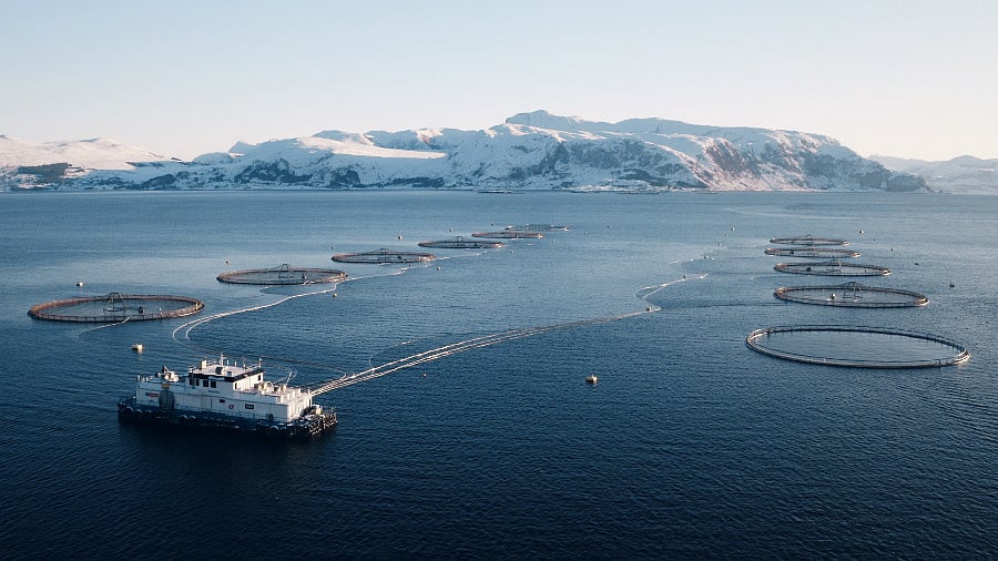 Norwegian authorities report suspected salmon anaemia at fish farms