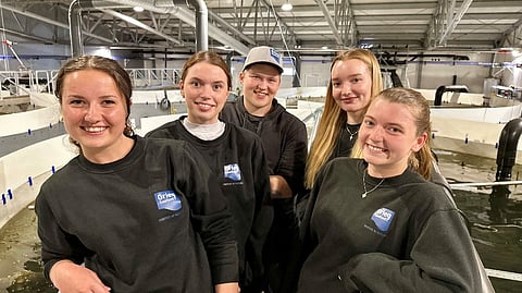 Grieg Seafood pledges transformation after horror year